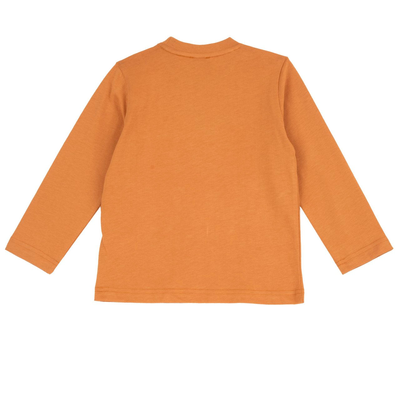 Maglietta manica lunga bimbo - Chicco